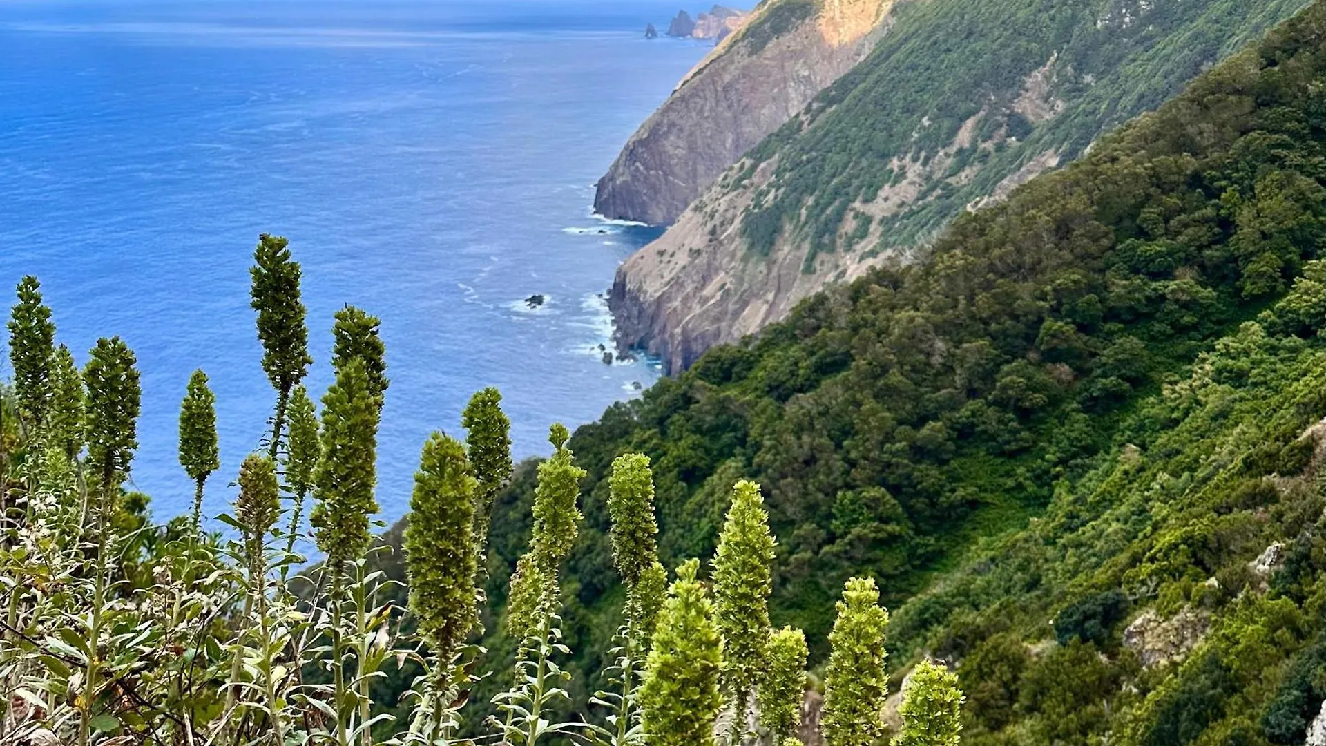 Villa Harbour Sea View House Funchal Ferienhaus Funchal (Madeira)
