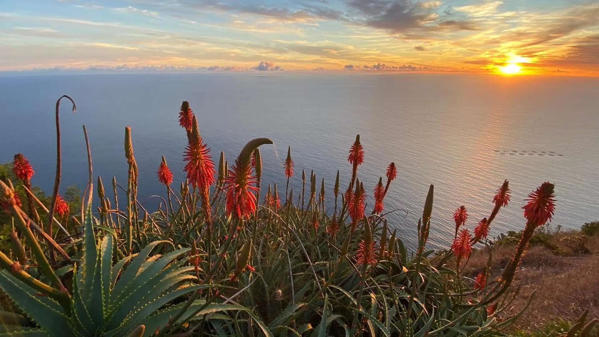 Ferienhaus Villa Harbour Sea View House Funchal